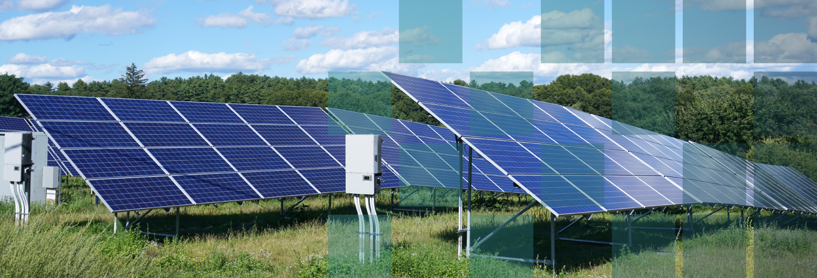 Solar panels in a field banner image