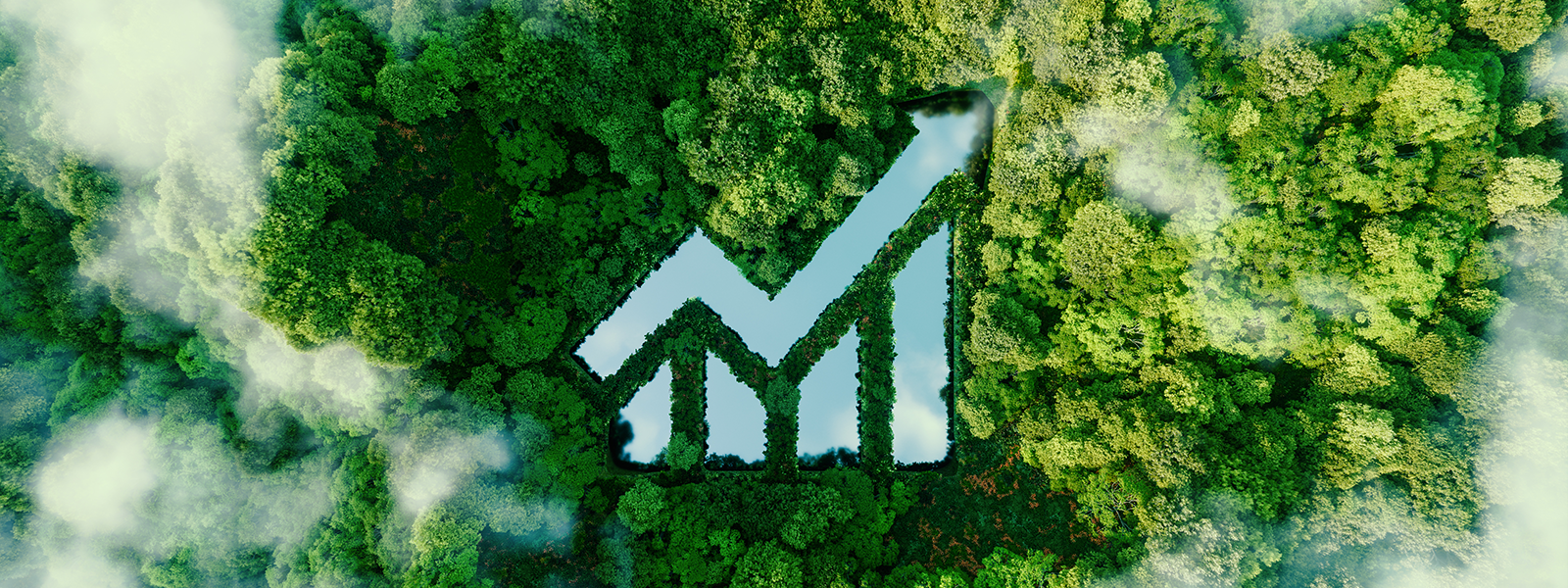 A lake in the shape of a rising bar chart in the midst of lush, green forest. banner image